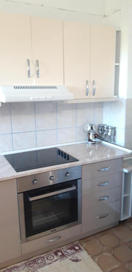 Apartments Holiday Vranje Extérieur photo